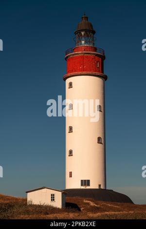 Phare, île d'Anholt, Kattegat, mer Baltique, Danemark Banque D'Images