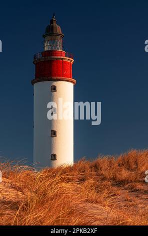 Phare, île d'Anholt, Kattegat, mer Baltique, Danemark Banque D'Images