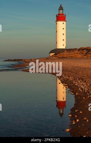 Phare, île d'Anholt, Kattegat, mer Baltique, Danemark Banque D'Images