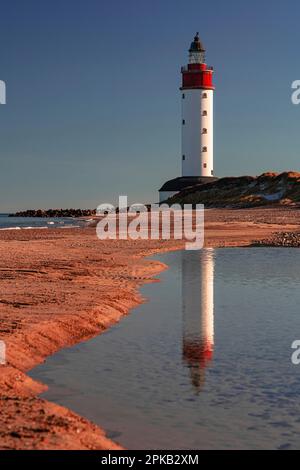 Phare, île d'Anholt, Kattegat, mer Baltique, Danemark Banque D'Images