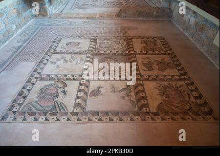 Paphos, district de Paphos, Chypre - 23 mars , 2023 - sols décorés de mosaïques avec la mythologie grecque ancienne de Nea Paphos Banque D'Images