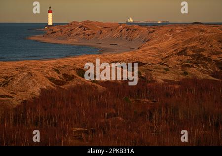 Phare, île d'Anholt, Kattegat, mer Baltique, Danemark Banque D'Images