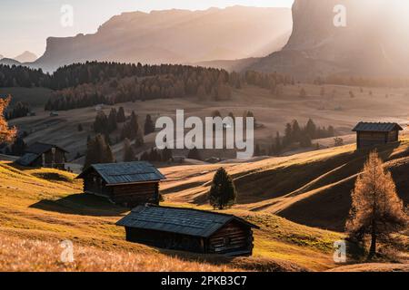 Sunrise, Alpe di Siusi, Groupe Sella, Tyrol du Sud, Italie, Automne, Dolomites Banque D'Images