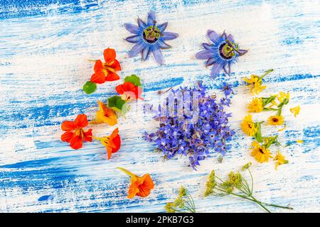 Fleurs comestibles utilisées en gastronomie : borage, nasturtium, fenouil, calendula, pastille. Banque D'Images