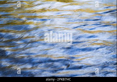 Eau coulant et petites vagues de la Vologne, feuilles d'automne jaunes et ciel bleu accentuent l'eau, Vosges, France Banque D'Images