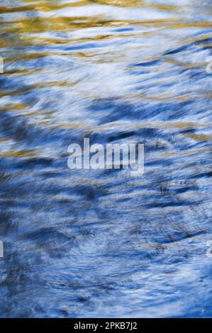 Eau coulant et petites vagues de la Vologne, feuilles d'automne jaunes et ciel bleu accentuent l'eau, Vosges, France Banque D'Images