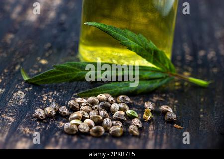 Bouteille d'huile de chanvre biologique entourée de feuilles et de graines. Banque D'Images