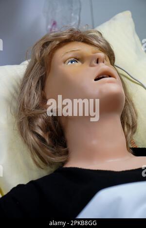 Les élèves qui font face à une urgence post-natale suivent les procédures sur un mannequin. Ce mannequin est contrôlé par des opérateurs dans une pièce adjacente. Banque D'Images