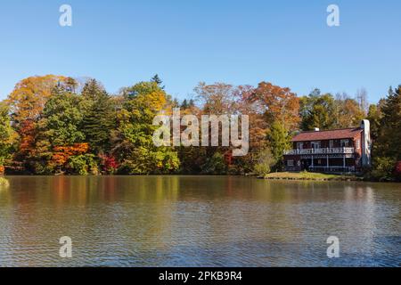 Japon, Honshu, Préfecture de Nagano, Karuizawa, Lac Shiozawa, Feuilles d'automne Banque D'Images