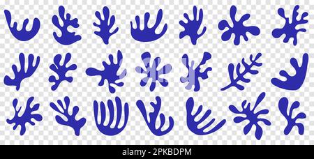 Ensemble d'algues géométriques matisse. Le design peut être utilisé pour les affiches, les prospectus, les brocures et autres. Illustration vectorielle isolée sur fond transparent Illustration de Vecteur