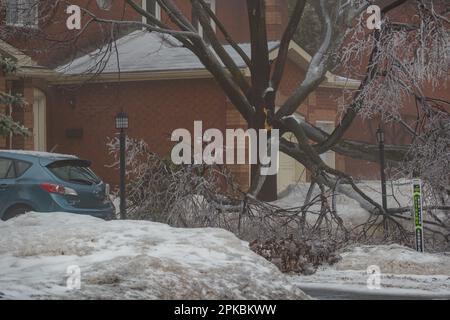 Ottawa, Ontario, Canada - 6 avril 2023 : les succursales ont pesé depuis le bloc de glace une allée Barrhaven à la suite d'une tempête de verglas avec une forte pluie verglaçante. Banque D'Images