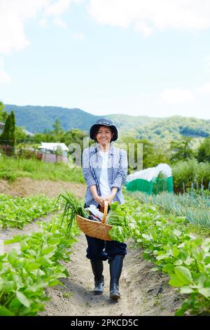 Femme marchant dans le champ avec des légumes Banque D'Images