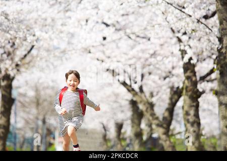 Fille d'école primaire courant le long de la route bordée de cerisiers en fleurs Banque D'Images