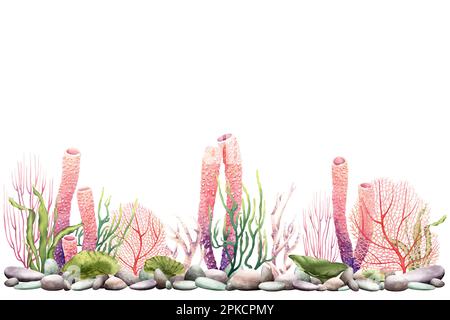 Bannière, frontière avec les plantes marines, cailloux et coraux. Illustration aquarelle isolée sur blanc pour clip art, paquet Banque D'Images
