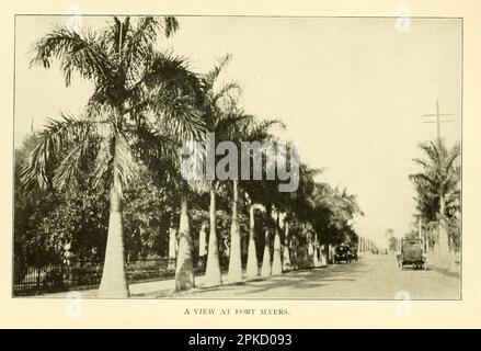 A View at fort Myers photographie vintage du livre ' Florida, le pays de l'enchantement ' par Nevin Otto Winter, 1869-1936 Date de publication 1918 Éditeur Boston, The page Company de la série ' See America First ' Banque D'Images