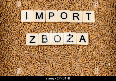 Phrase en langue polonaise "importation de céréales" faite par des carreaux de lettre sur le grain de blé. Changements sur le marché alimentaire causés par la guerre en Ukraine Banque D'Images