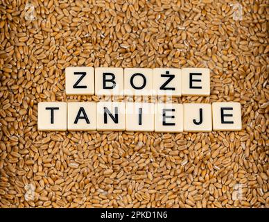 Phrase en polonais 'céréales devenir moins cher' faite par des tuiles de lettre sur le grain de blé. Changements sur le marché alimentaire causés par la guerre en Ukraine Banque D'Images