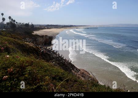 Vues sur les oiseaux pélican marron de Californie sur Pismo Beach, Californie, États-Unis. Banque D'Images