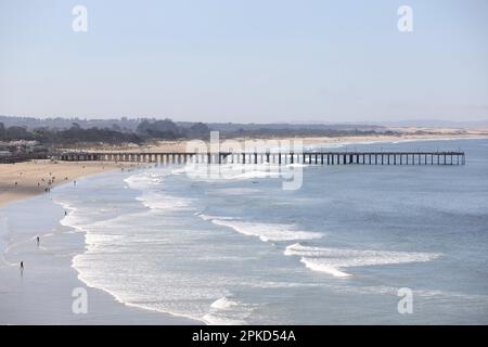 Vues sur les oiseaux pélican marron de Californie sur Pismo Beach, Californie, États-Unis. Banque D'Images