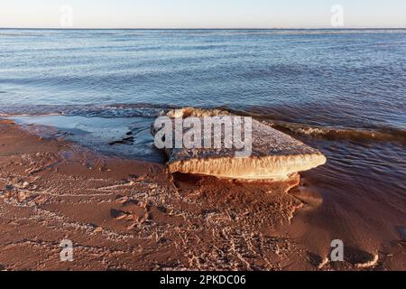 La fonte de la banquise avec du sable se trouve sur la côte de la mer Baltique, fond naturel d'hiver Banque D'Images