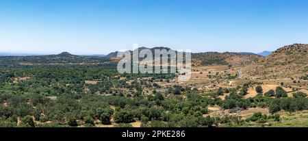 Vue panoramique aérienne d'un champ rempli d'arbres avec vue sur les montagnes par une journée ensoleillée. Banque D'Images