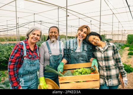 Joyeuses agricultrices multiraciales travaillant à l'intérieur de serres - concept coopératif de gens de ferme Banque D'Images