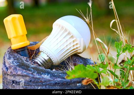Un tournevis orange et une lampe LED blanche dans une vieille souche de nature Banque D'Images