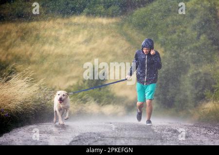 Homme avec chien sur laisse courant ensemble sur route rurale humide par forte pluie. Le propriétaire d'un animal de compagnie et son labrador Retriver par mauvais temps. Banque D'Images