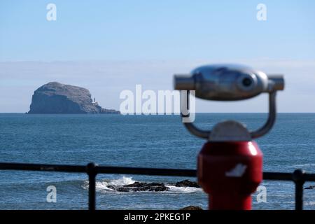 North Berwick, Écosse, Royaume-Uni. 07th avril 2023. Un magnifique départ ensoleillé le matin amène les visiteurs de vacances de Pâques et les habitants sur les plages de Berwick du Nord. Vue sur Bass Rock depuis le port. Crédit : Craig Brown/Alay Live News Banque D'Images