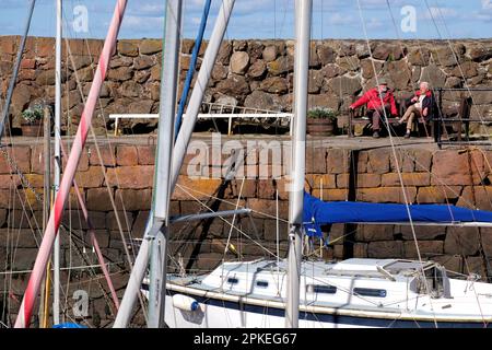 North Berwick, Écosse, Royaume-Uni. 07th avril 2023. Un magnifique départ ensoleillé le matin amène les visiteurs de vacances de Pâques et les habitants sur les plages de Berwick du Nord. Asseyez-vous sur un banc et détendez-vous dans le port. Crédit : Craig Brown/Alay Live News Banque D'Images