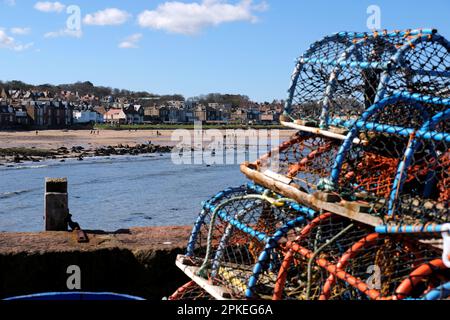 North Berwick, Écosse, Royaume-Uni. 07th avril 2023. Un magnifique départ ensoleillé le matin amène les visiteurs de vacances de Pâques et les habitants sur les plages de Berwick du Nord. Vue sur la plage et la ville de West Bay depuis le port avec des pots de homard empilés. Crédit : Craig Brown/Alay Live News Banque D'Images