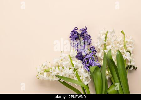 Vue depuis le dessus des fleurs en jacinthe sur une table avec espace de copie Banque D'Images