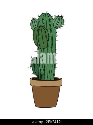 Cactus intérieur plante de maison en pot de fleur vecteur. Illustration de Vecteur