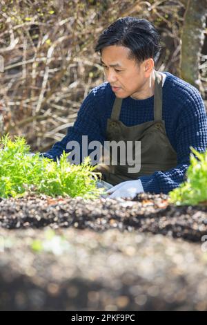 Homme travaillant à la ferme Banque D'Images