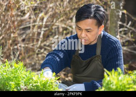 Homme travaillant à la ferme Banque D'Images