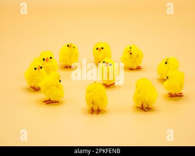 Des poulets jaunes moelleux, disposés pour la décoration de Pâques dans un studio - parfait sujet de photographie macro sans personne. Banque D'Images