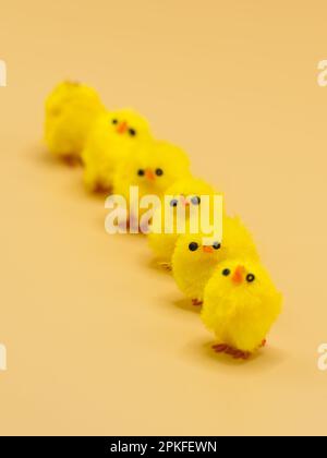 Des poulets jaunes moelleux, disposés pour la décoration de Pâques dans un studio - parfait sujet de photographie macro sans personne. Banque D'Images