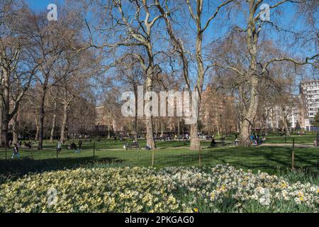 Vue générale de Russell Square au printemps, centre de Londres, Royaume-Uni. Banque D'Images