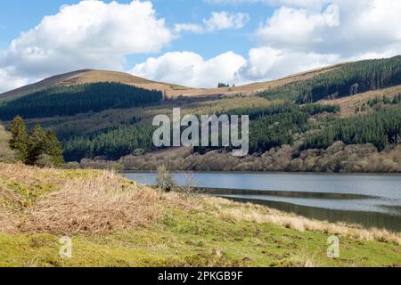 En avril, en regardant le réservoir de Talybont dans les balises de Brecon vers une colline arrondie ainsi que de nombreux arbres à feuilles caduques et à feuilles persistantes Banque D'Images