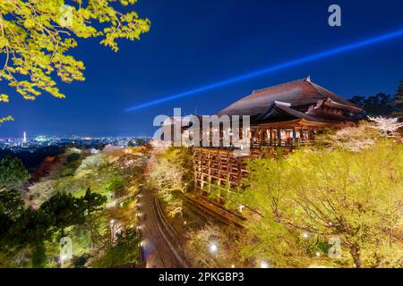 Kyoto, Japon au temple de Kiyomizudera pendant la saison de printemps la nuit. Banque D'Images