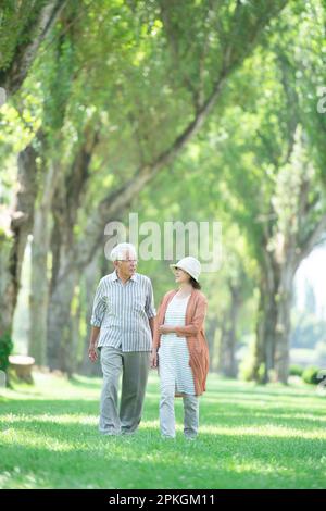 Un couple senior marchant le long de la rangée de peupliers Banque D'Images