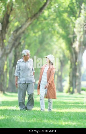 Un couple senior marchant le long des peupliers Banque D'Images