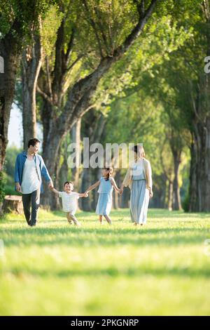 Famille marchant le long des peupliers Banque D'Images