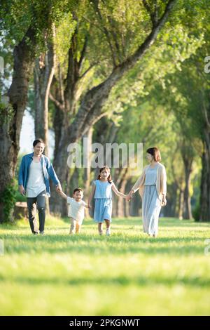 Famille marchant le long des peupliers Banque D'Images