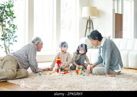Grands-parents et petits-enfants jouant avec des blocs de construction Banque D'Images