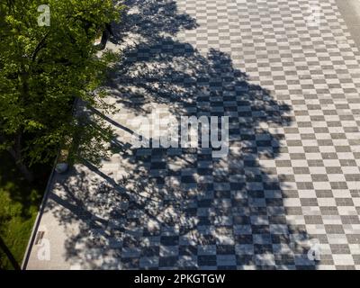 Admirez la vue aérienne sur une rue piétonne carrelée, une place pavée avec des arbres sombres dans le parc de loisirs. Modèles de ville Banque D'Images