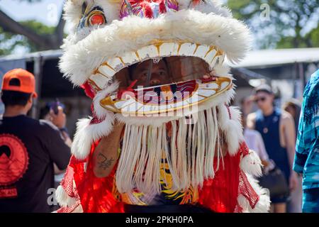 Honolulu, Oahu, Hawaï, États-Unis, - 11 février, 2023: Un homme en costume traditionnel chinois qui exécute une danse au stade Aloha Swap Meet Banque D'Images