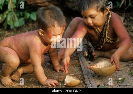 Amérique du Sud, Venezuela, enfants du groupe ethnique Hoti jouant, se peignant avec des graines de rocou (achiote, urucú, onoto ; Bixa orellana, famille des Bixaceae). Banque D'Images