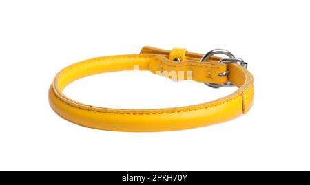 Collier pour chien en cuir jaune isolé sur blanc Banque D'Images