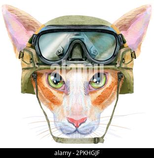 Mignon chat oriental dans casque tactique militaire avec lunettes. Chat pour les motifs des t-shirts. Illustration de la race de chat somalien aquarelle Banque D'Images